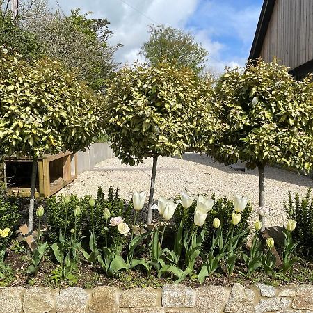 Cedar House Pensionat Ilsington Exteriör bild