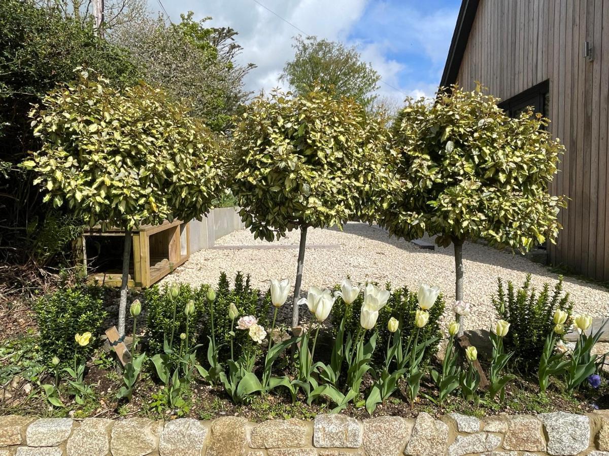 Cedar House Pensionat Ilsington Exteriör bild